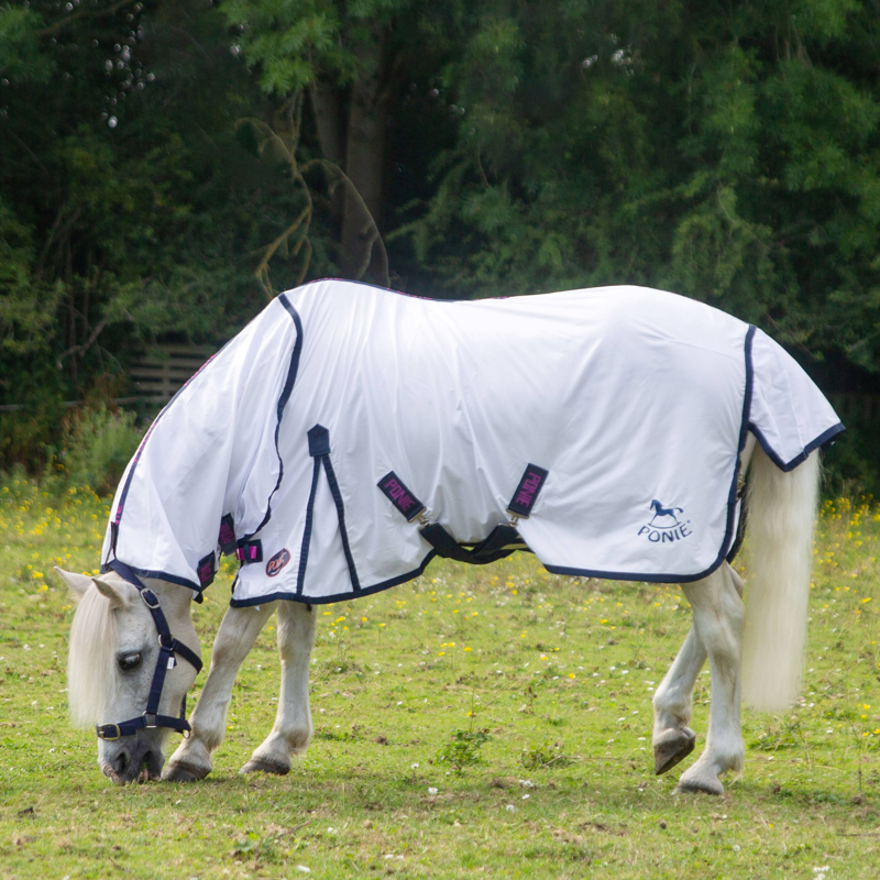 Gallop PONIE Essentials Combo Fly Rug in White-2